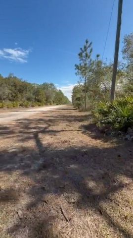 923 GAILLARDIA DRIVE, Indian Lake Estates, FL 33855