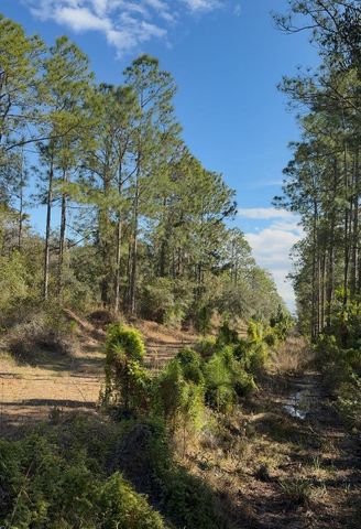 923 GAILLARDIA DRIVE, Indian Lake Estates, FL 33855