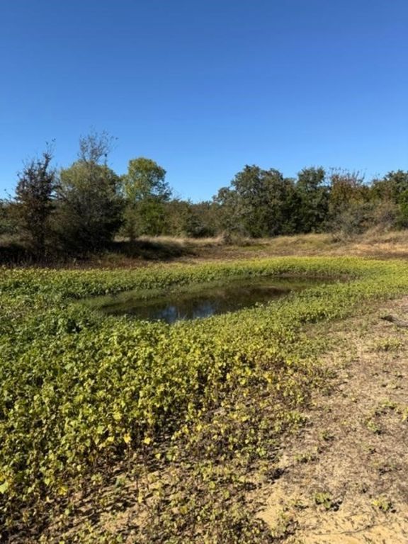 0 S Hwy 281, Mineral Wells, TX 76067