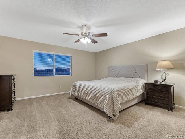 7310 Blue Water Drive, Castle Rock, CO 80108