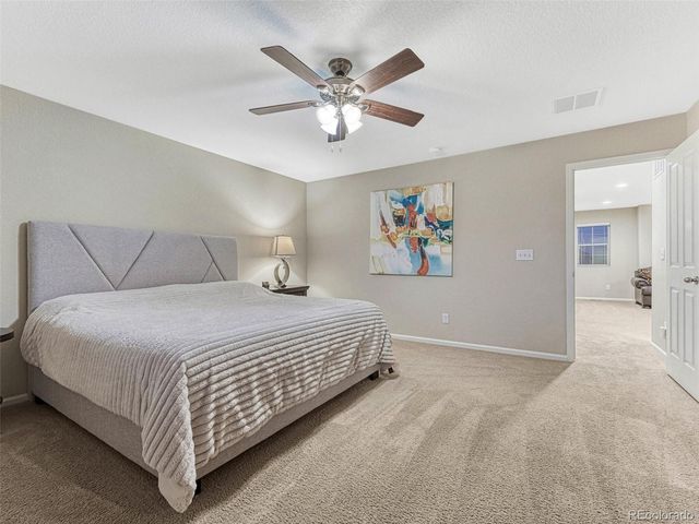 7310 Blue Water Drive, Castle Rock, CO 80108