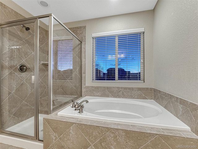 7310 Blue Water Drive, Castle Rock, CO 80108