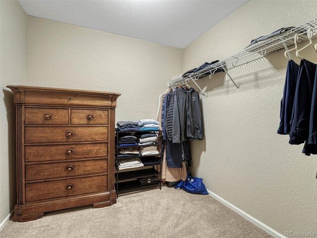 7310 Blue Water Drive, Castle Rock, CO 80108