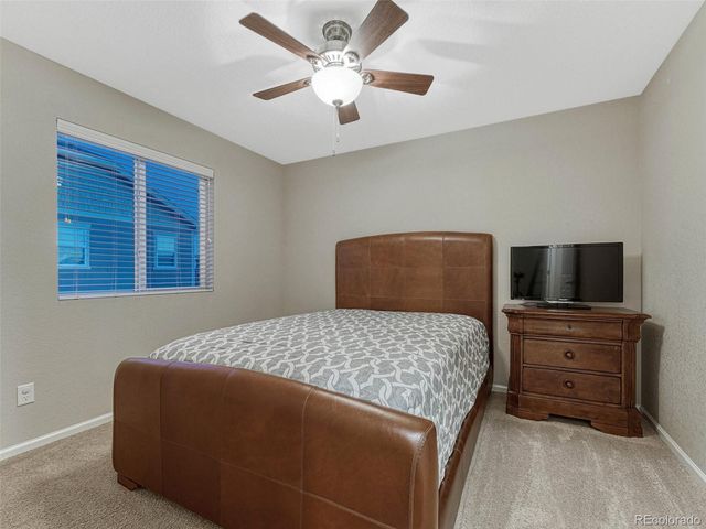 7310 Blue Water Drive, Castle Rock, CO 80108