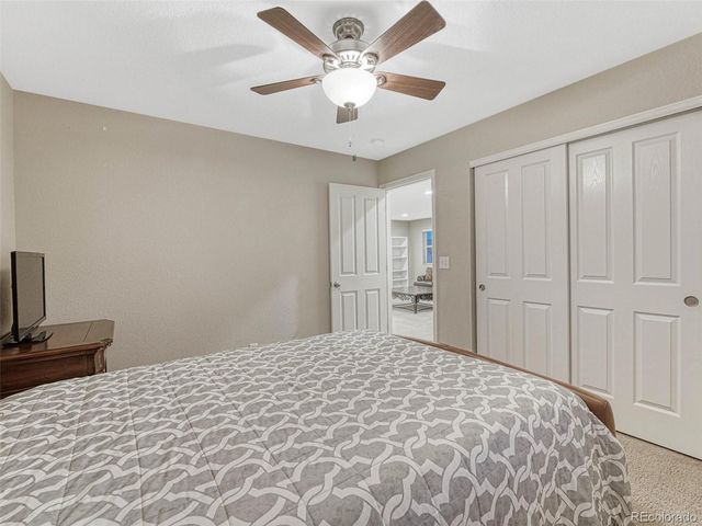 7310 Blue Water Drive, Castle Rock, CO 80108