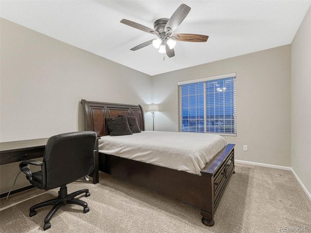 7310 Blue Water Drive, Castle Rock, CO 80108