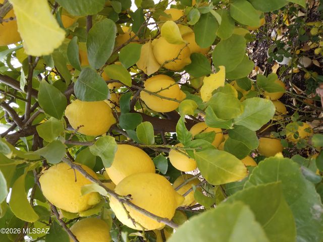 3394 W Crestone Court, Tucson, AZ 85742