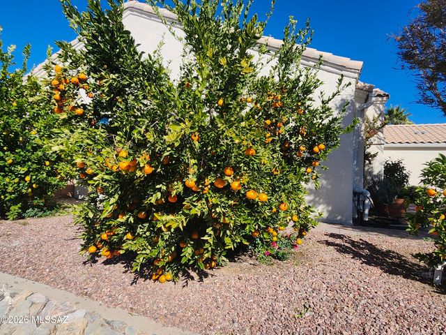 3394 W Crestone Court, Tucson, AZ 85742