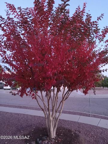 3394 W Crestone Court, Tucson, AZ 85742