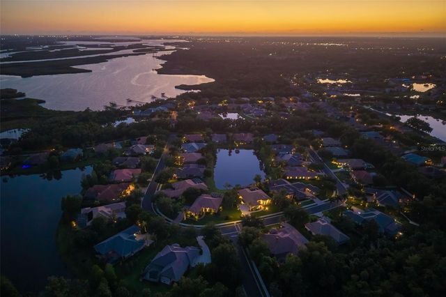 11427 SAVANNAH LAKES DRIVE, Parrish, FL 34219