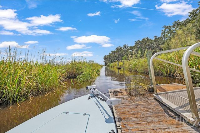 747 Mill Hill Road, Richmond Hill, GA 31324