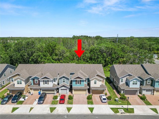 34187 CINDER WAY, Wesley Chapel, FL 33545