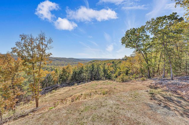 157 Rollin Pt, Branson West, MO 65737