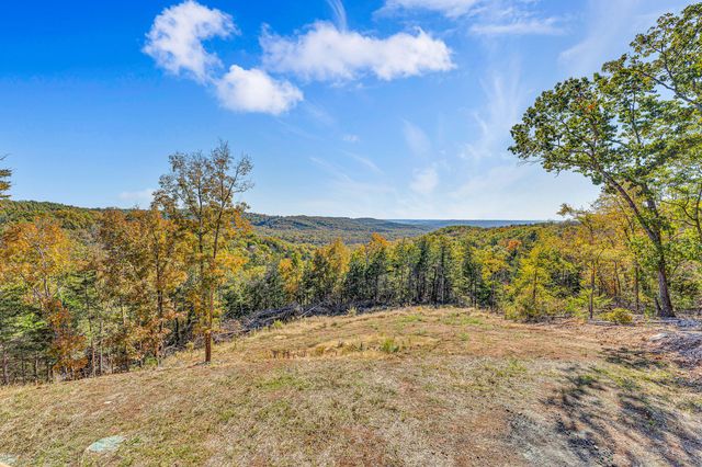 157 Rollin Pt, Branson West, MO 65737