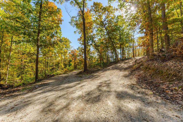 157 Rollin Pt, Branson West, MO 65737