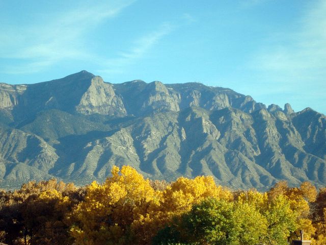 977 Salt Cedar Court, Bernalillo, NM 87004