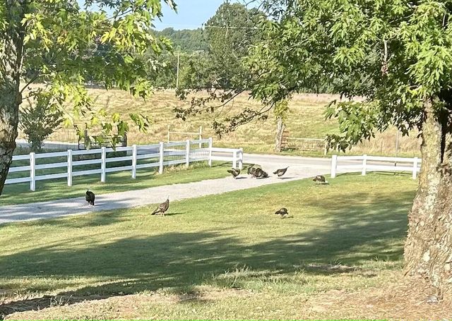 24100 S 550 Road, Afton, OK 74331