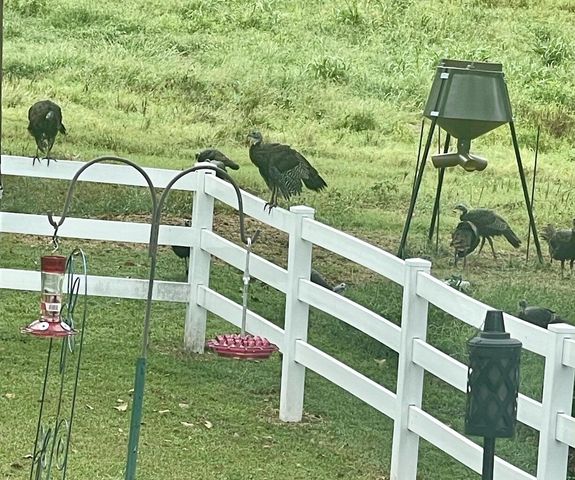 24100 S 550 Road, Afton, OK 74331