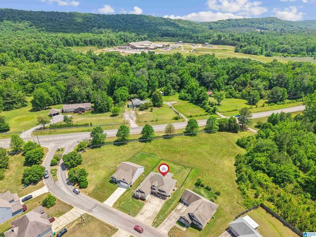 35 SMITH GLEN DRIVE, Springville, AL 35146