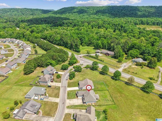 35 SMITH GLEN DRIVE, Springville, AL 35146