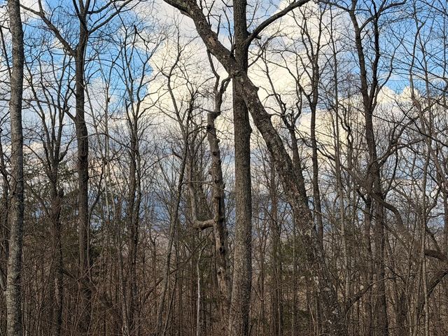 1950 Saint Andrews Way, Jasper, GA 30143