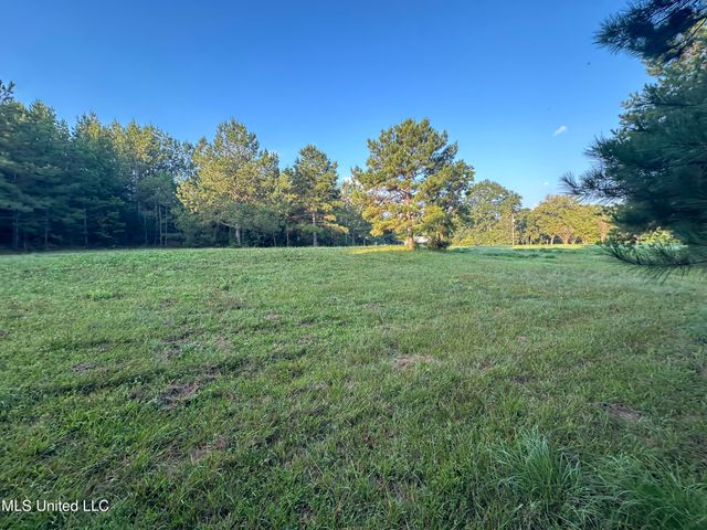 000 SE Mt Pleasant Ln Lane, Bogue Chitto, MS 39629