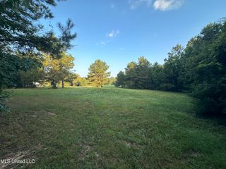 000 SE Mt Pleasant Ln Lane, Bogue Chitto, MS 39629