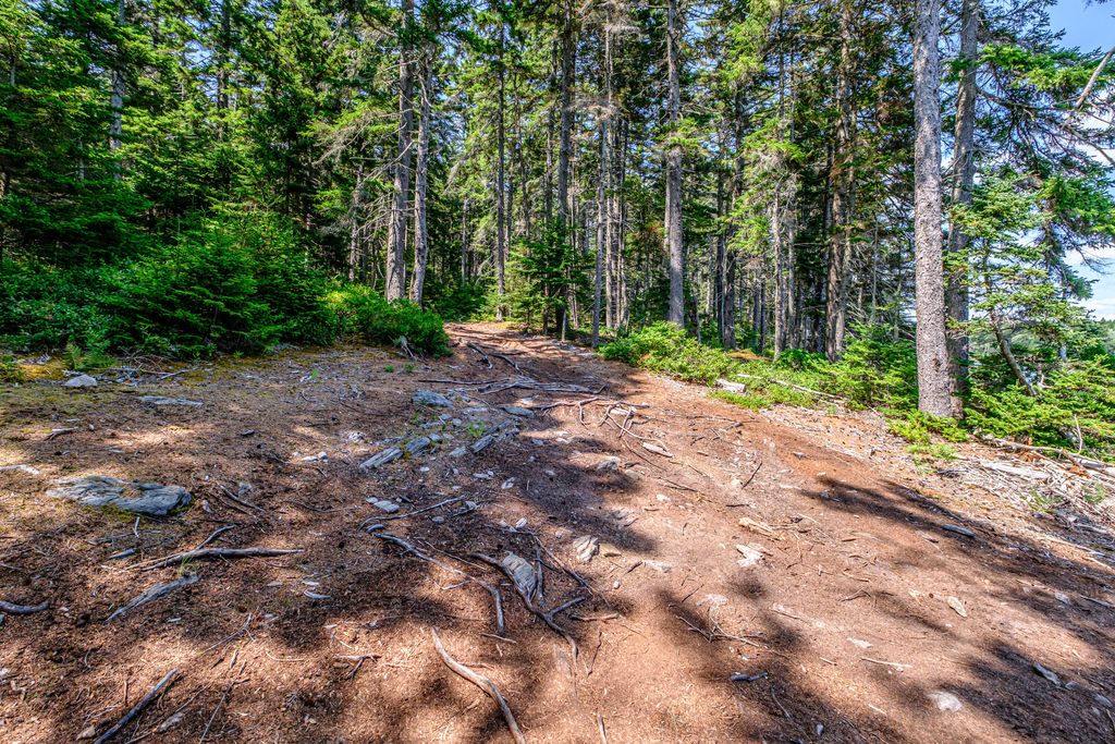 Lot 6 Harbor Island Lane, Phippsburg, ME 04562 — photo 4