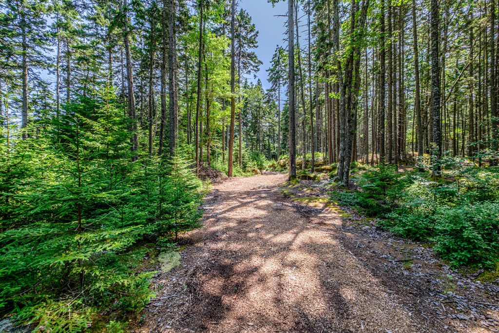 Lot 6 Harbor Island Lane, Phippsburg, ME 04562 — photo 5
