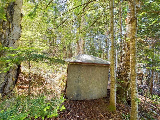 312 Roy Road, Stewartstown, NH 03576