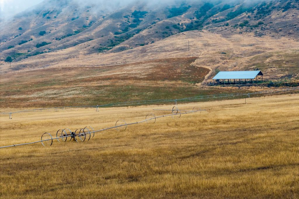 361 Lone Ranch Creek Rd, Curlew, WA 99121 photo 24