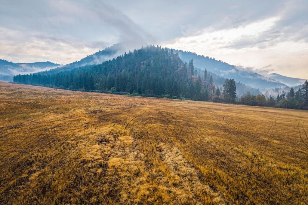 361 Lone Ranch Creek Rd, Curlew, WA 99121 photo 26