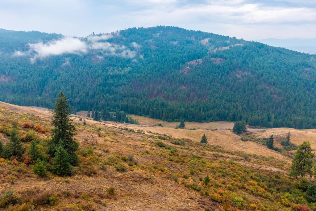 361 Lone Ranch Creek Rd, Curlew, WA 99121 photo 28