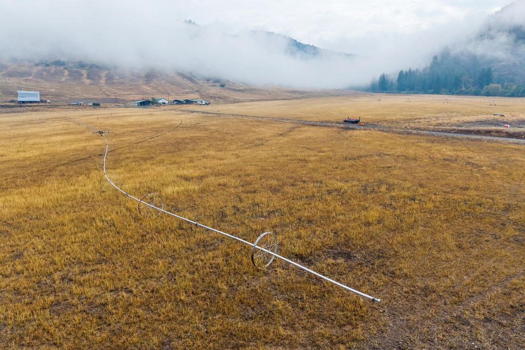 361 Lone Ranch Creek Rd, Curlew, WA 99121 photo 31