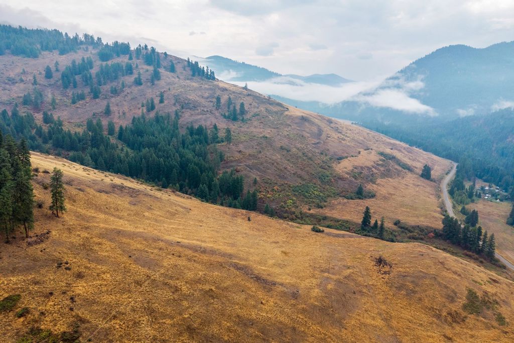 361 Lone Ranch Creek Rd, Curlew, WA 99121 photo 33