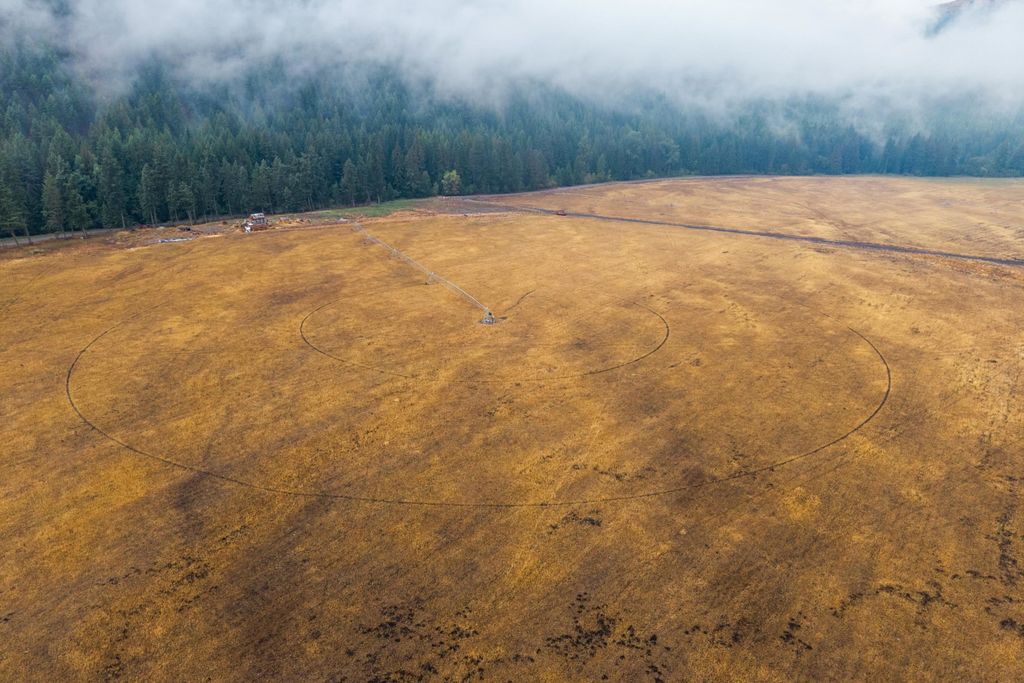 361 Lone Ranch Creek Rd, Curlew, WA 99121 photo 5