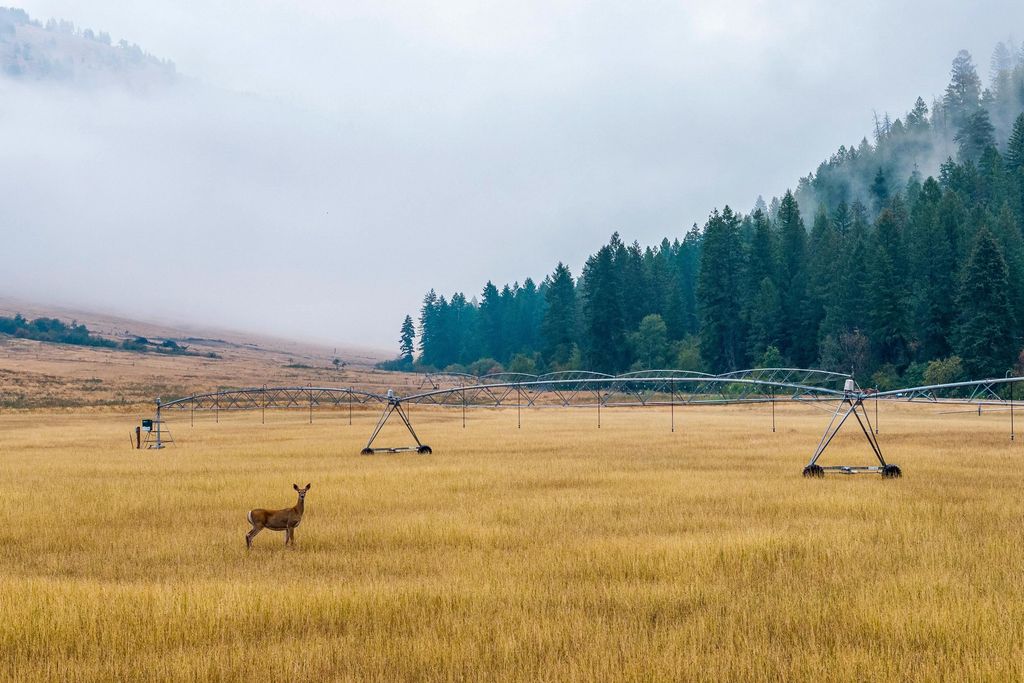 361 Lone Ranch Creek Rd, Curlew, WA 99121 photo 7