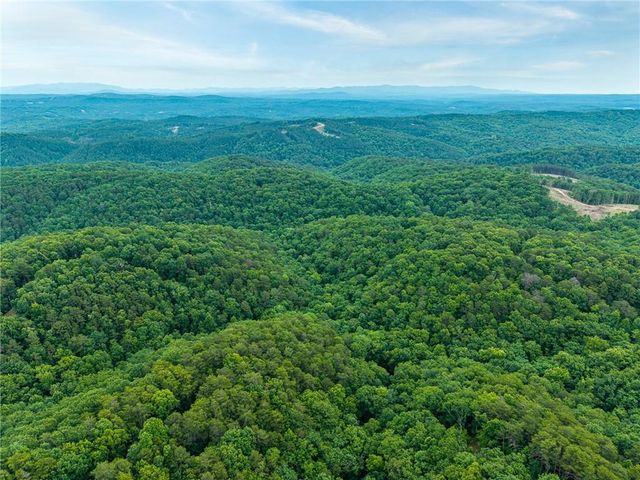1332 Birch Lane NE, Ranger, GA 30734