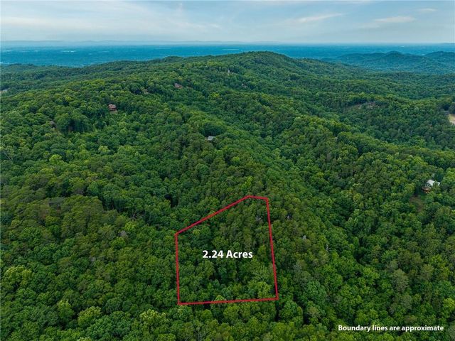 1332 Birch Lane NE, Ranger, GA 30734