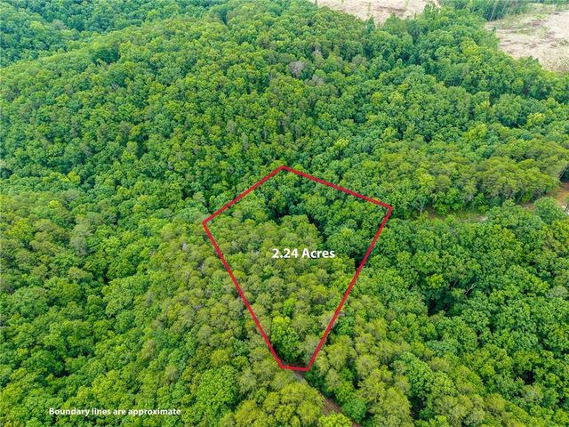 1332 Birch Lane NE, Ranger, GA 30734
