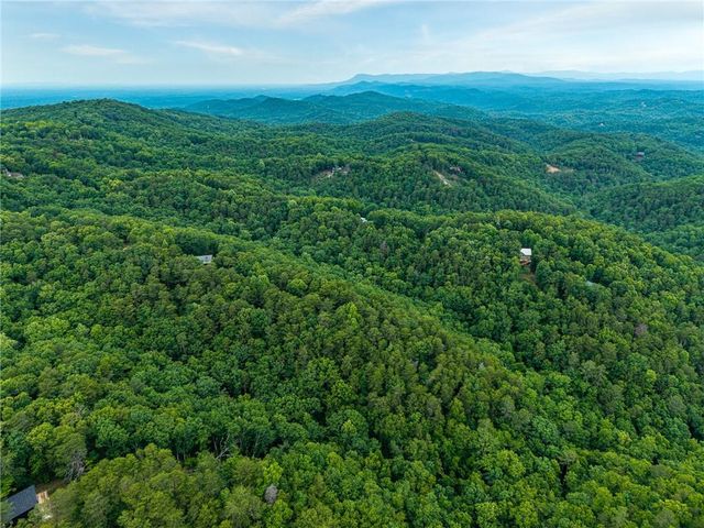 1332 Birch Lane NE, Ranger, GA 30734