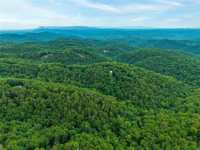 1332 Birch Lane NE, Ranger, GA 30734