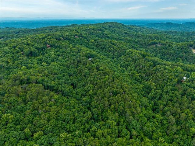 1332 Birch Lane NE, Ranger, GA 30734