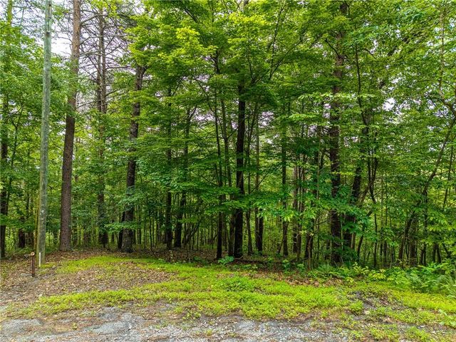 1332 Birch Lane NE, Ranger, GA 30734