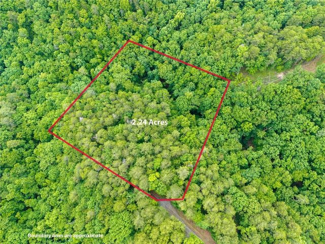 1332 Birch Lane NE, Ranger, GA 30734