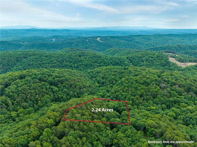 1332 Birch Lane NE, Ranger, GA 30734