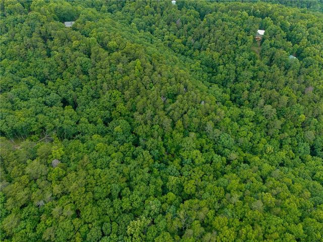 1332 Birch Lane NE, Ranger, GA 30734