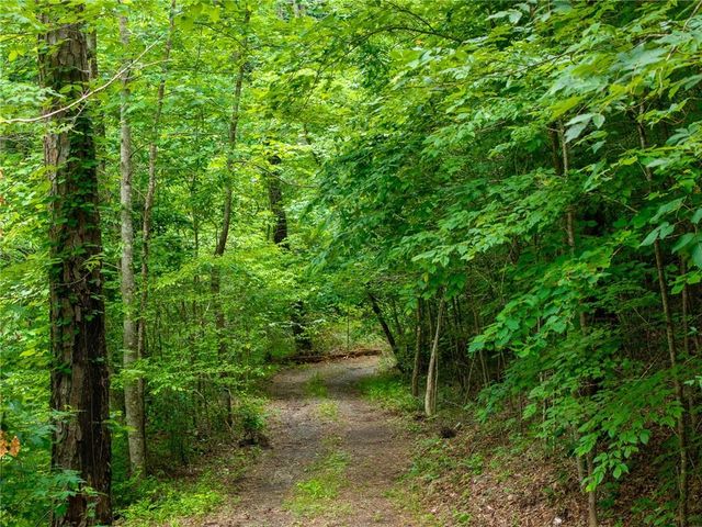 1332 Birch Lane NE, Ranger, GA 30734