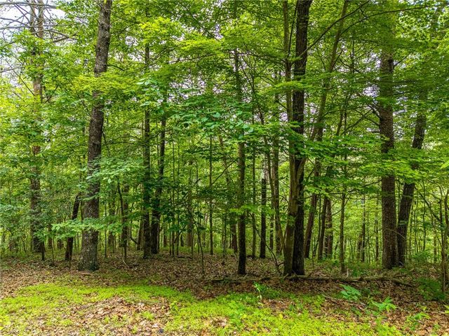 1332 Birch Lane NE, Ranger, GA 30734