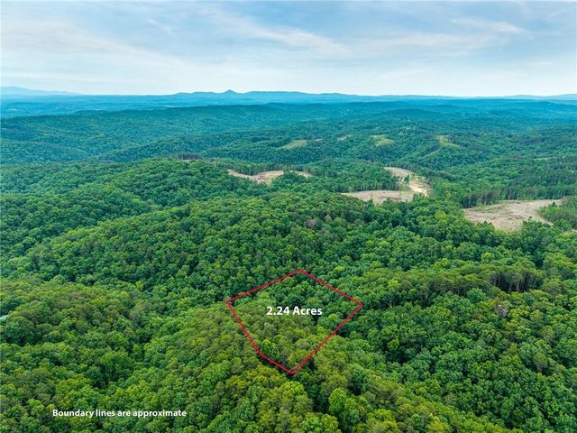 1332 Birch Lane NE, Ranger, GA 30734